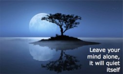 Empty your mind with Meditation and Reiki